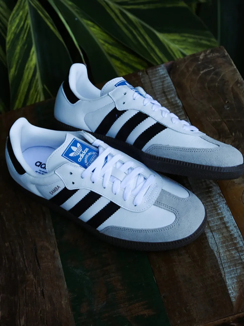 Samba Azul Claro